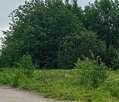 Продать Земельные участки, земля Ждановские озера кп, д. Кальтино   