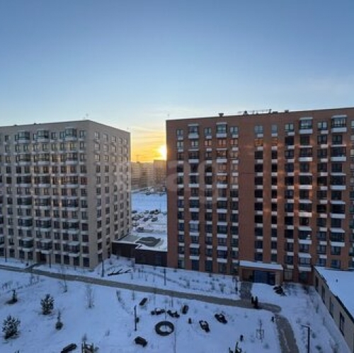 1-комн квартира Аннинское городское поселение, Невская улица