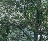 Продать Квартиры вторичка улица Тельмана, 32К1   