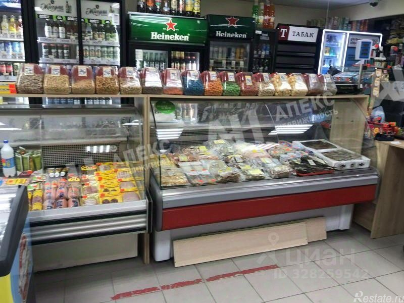 Аренда ПСН Зелёный пр-кт,  д. 60/35
