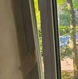 Продажа 2-комн квартиры на вторичном рынке Пискаревский проспект, 58К2 Продажа 2-комн квартиры на вторичном рынке Пискаревский проспект, 58К2