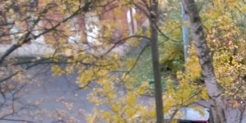 1-комн квартира улица Карпинского, 21