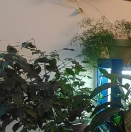 Продажа 2-комн квартиры на вторичном рынке улица Перерва,  д. 50