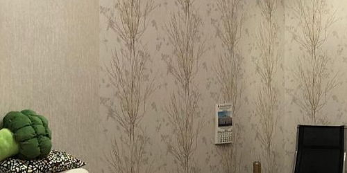 3-комн квартира пос. Металлострой, улица Максима Горького, 5/10