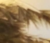 Продать Квартиры вторичка Прибрежная улица, 4   