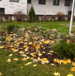 Продажа 1-комн квартиры на вторичном рынке ул Академика Павлова,  д. 6,  к. 2