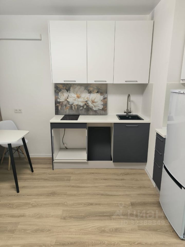 Аренда студии Мисайлово пгт, улица Героя России Филипова, 8