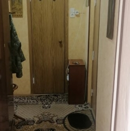 Продажа 1-комн квартиры на вторичном рынке Шепелюгинская улица,  д. 7/14