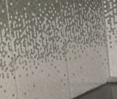 Сдать в аренду Квартиры вторичка Домодедовская улица, 20К2   