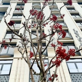 Продажа 2-комн квартиры на вторичном рынке улица Академика Королёва,  д. 21