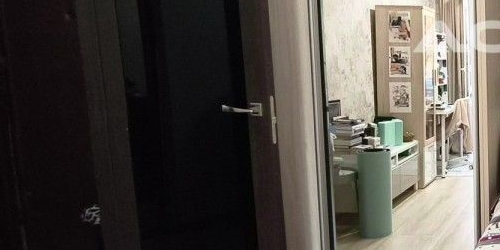 1-комн квартира улица Савушкина, 145