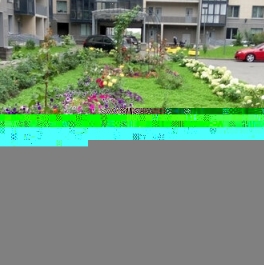 Продажа 1-комн квартиры на вторичном рынке ул Жукова,  д. 1