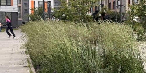 2-комн квартира улица Грибалевой, 7к3