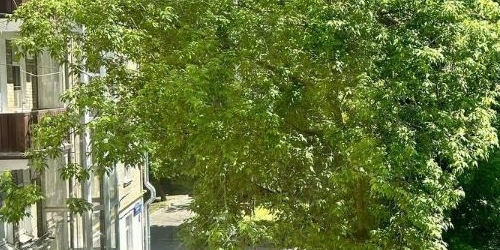 1-комн квартира проезд Аэропорта, 11