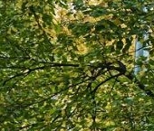 Продать Квартиры вторичка 3-й Балтийский переулок, 4К2   