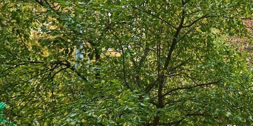 1-комн квартира 3-й Балтийский переулок, 4К2