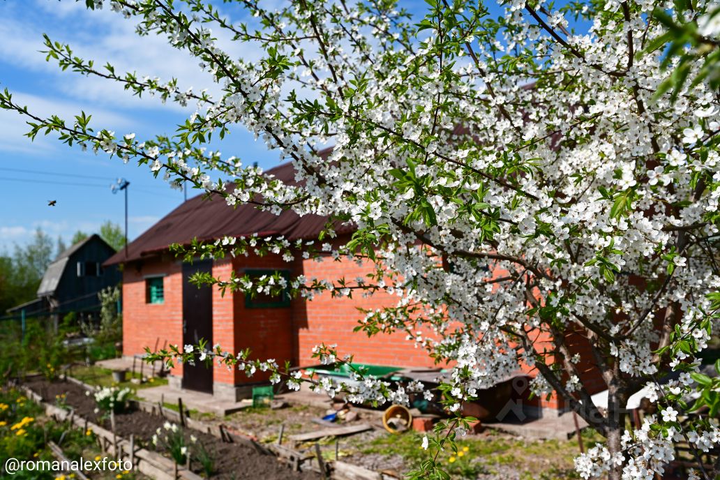 Продажа земли д. Покровская, переулок Динамовский