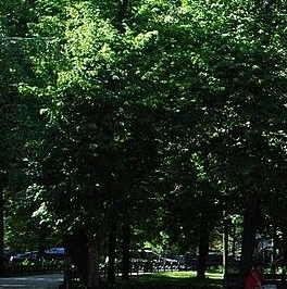 Продажа 4-комн квартиры на вторичном рынке Лесная улица, 6к1 Продажа 4-комн квартиры на вторичном рынке Лесная улица, 6к1