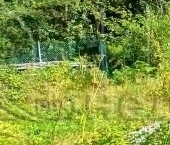 Продать Дачи, коттеджи, загородные дома Гранит СНТ  209 