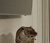 Продать Квартиры вторичка Раменское, Северное шоссе, 6   