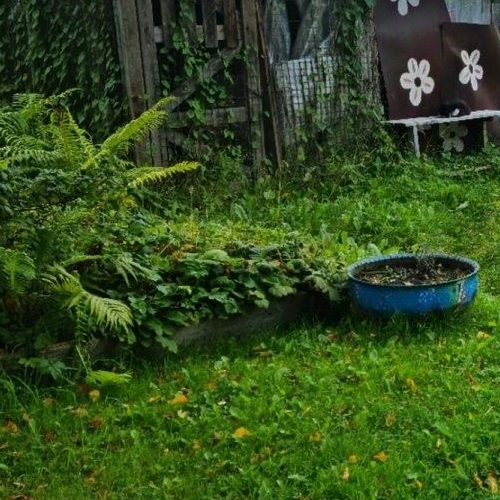 1-комн квартира Вырица городской поселок, улица Румянцева, 6