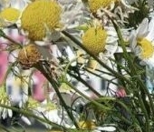 Сдать в аренду Квартиры вторичка Мурино, улица Шоссе в Лаврики, 93   