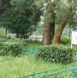 Продажа 1-комн квартиры на вторичном рынке Петергоф г., Собственный просп., д. 34 Продажа 1-комн квартиры на вторичном рынке Петергоф г., Собственный просп., д. 34