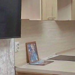 Продажа студии пос. Шушары, переулок Вилеровский, 6