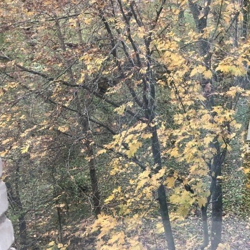 2-комн квартира Кузнечное пгт, Юбилейная улица, 2