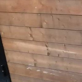 Продажа дома пос. Парголово, Климовец СНТ, улица Березовая, 71