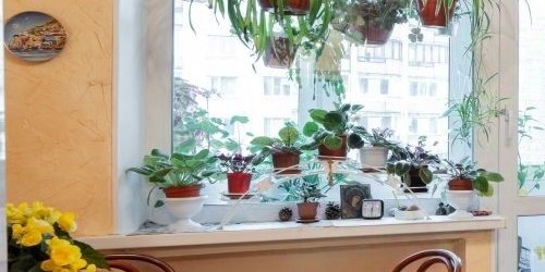 2-комн квартира улица Композиторов, 15