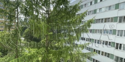 2-комн квартира Просвещения пр-кт,  д. 22,  к. 2