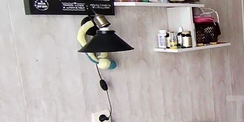 2-комн квартира Новоизмайловский проспект, 26К3