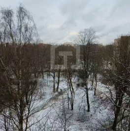 Продажа 3-комн квартиры на вторичном рынке Муринский 2-й пр-кт,  д. 22 литВ