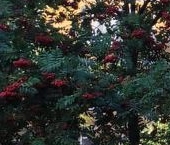 Продать Квартиры вторичка Химки, 9 Мая улица, 14   