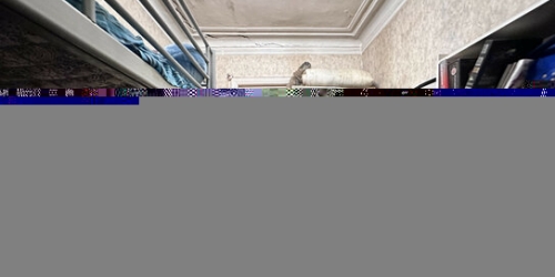 3-комн квартира улица Савушкина,  д. 53