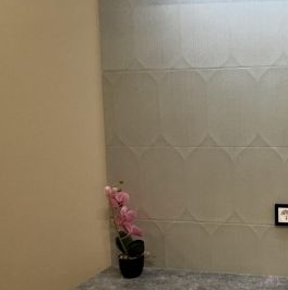 Аренда студии Ремесленная улица, 15