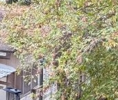 Сдать в аренду Квартиры вторичка Энергетическая улица, 11   