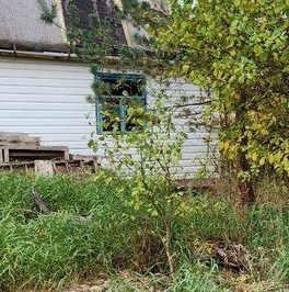 Продажа дома ЛВС Ленэнерго СНТ, аллея Нижняя, 8 Продажа дома ЛВС Ленэнерго СНТ, аллея Нижняя, 8