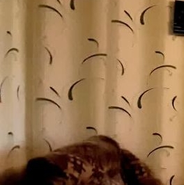 Продажа 2-комн квартиры на вторичном рынке Кириши, Советская улица, 13 Продажа 2-комн квартиры на вторичном рынке Кириши, Советская улица, 13