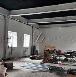 Аренда отдельного здания Звенигородская 2-я ул,  д. 11