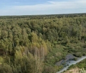 Продать Квартиры вторичка Лосино-Петровский, Берёзовая улица  4 