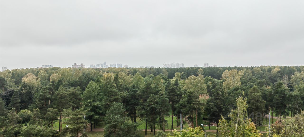 Продажа 3-комн квартиры на вторичном рынке Светлановский проспект, 45