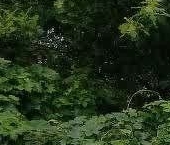 Продать Дачи, коттеджи, загородные дома д. Березье, улица Садовая, 35   