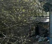 Продать Земельные участки, земля Никольское, Лесное-3 СНТ, 135   