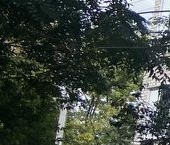 Продать Квартиры вторичка Первомайский мкр, Школьный тупик, 8   