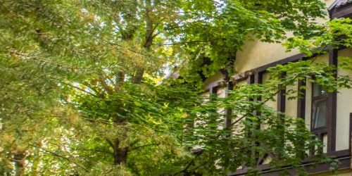 Коттедж/дом Парголовский переулок, 20