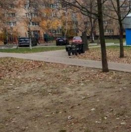 Продажа 1-комн квартиры на вторичном рынке Раменское, Бронницкая улица, 17