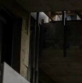 Продажа дома пос. Лисий Нос, Приморское шоссе, 26А