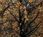 Продать Квартиры вторичка Керамический проезд, 65К1   